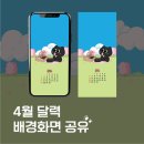 타코붐 타코야끼 이미지