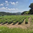 대천공인중개사사무소 이미지