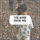 숲중앙어린이집 | 가을 숲체험 프로그램 유아 초등 준비물 복장 알아보기