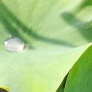 장유상가 관리사무소 이미지