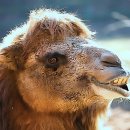 금광프라자약국 이미지