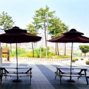 메종드마마카페 이미지