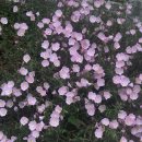 에바다민박 | 갑자기 떠난 1.2일 여수 여행 - 하