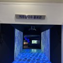 카매니저부분정비공장 | 제주도여행, 제주 아이랑 가볼만한 곳 제주삼다수공장 견학후기