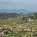 이화1길 이미지