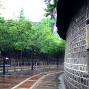 레인[rain]