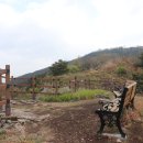 정상 조망점 이미지
