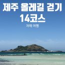 입실회센타 | 한림항, 협재 수우동 후기, 몽돌스테이 1119 숙소 후기, 한림수협 회센터 후기, 야식으로 부가네얼큰이