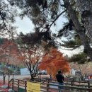 무주홀리데이파크 | 끝가을에 계곡과 숲(솔섬)이 어우러지는 풍경 속으로 떠나는 무주홀리데이파크캠핑장 후기 (명당자리)