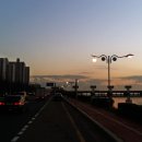 하단동1162 이미지