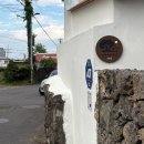 애월리에 🏠 제주도 서쪽 감성숙소 <b>애월리에</b>퐁낭 애월집 | 모녀여행 숙소 내돈내산 후기