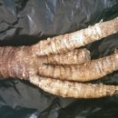 강화농장 이미지