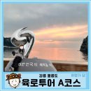 울릉도 투어 후기 : 웹투어ㅣ데이투어ㅣ울릉도 섬일주 육로관광 A코스