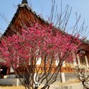 강남구청 이미지