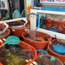 진토박이