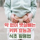 농업회사법인유한회사 정 그린 | 요즘 4050 사이에서 난리 난, 약 없이 뱃살 빼는 키위 효능과 식초 활용법