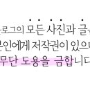 유한회사 해맑음씨앤씨 이미지