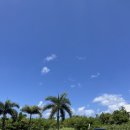 만연산큰재주차장 공중화장실 | ✨Birthday In Guam 3