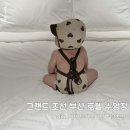 신세계조선호텔 부산 | [ 부산 여행 ] 그랜드 조선 부산 호텔 수영장 후기 - 아기랑 부산 조선 호텔 호캉스 -