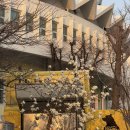 빈이맘마 | 🏀 KBL 서울SK 직관챌린지 당첨 직관후기(vs 고양소노)