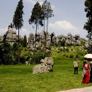 석림3로 이미지