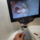 독일보청기(대구경북지사) | 성주보청기 할머니께 드리는 효도 선물 대구 서문시장 방문후기