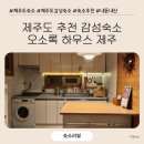 오소록 하우스 | 제주도 추천 숙소 : 따뜻한 감성 가득한 오소록 하우스 in 애월