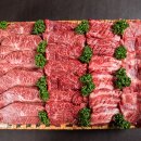 새로운축산 이미지