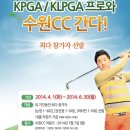 비타민스크린골프