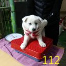 장자북로 이미지