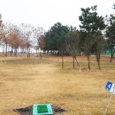 파크골프장 이미지