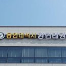 용인대 석사 양현 태권도 이미지