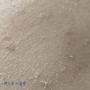 (유)지엔 | 쑥떡쑥떡 진정 효소팩 파우더세안제 - 피부 진정을 위한 비법템