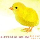 Re:Re:찻집이나 공방이나 뜻을 세웠으면 10년을 노크하세요, 뜻은 이루어 집니다... 토지 면적순 이미지