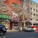 피노키오노래연습장 이미지