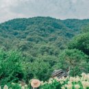 (주)두베