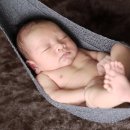 비자로 행정사사무소 이미지