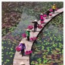 선샤인호텔 이미지