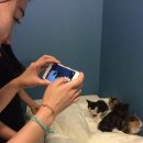 해랑농장 이미지