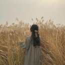 성머리 네이버블로그