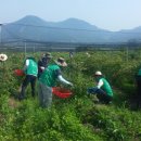 대상(주) 순창공장 이미지