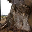 남해-276 이미지