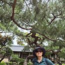 정수건재 | [공지] 아산 외암마을