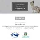 푸르메 캐터리 이미지