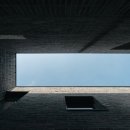 호텔나무 이미지