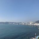 에스제이바이오 이미지