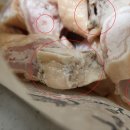 봉이막창 이미지