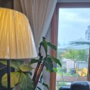 메이플스테이 애월 이미지