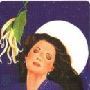 Ylang Ylang