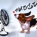 창촌 초등학교 이미지